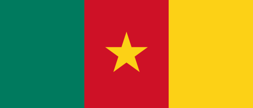 Cameroon Business Visa Opportunities 2025