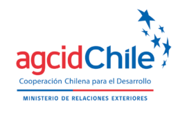 Chilean Government Nelson Mandela Scholarship 2025