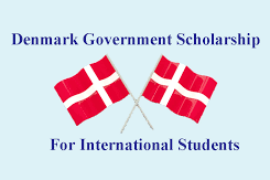 Denmark’s Health Equity Scholars Program 2025