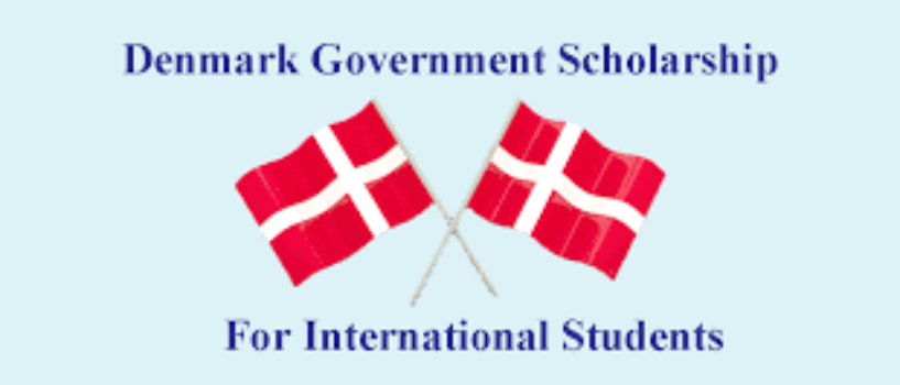 Denmark’s Health Equity Scholars Program 2025