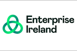 Ireland Health Innovation Grant 2025