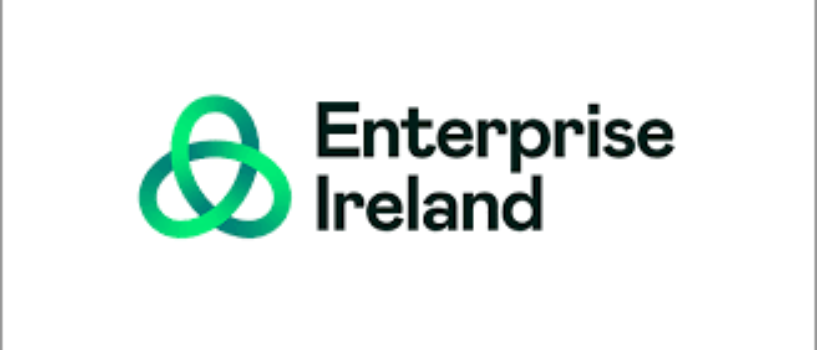 Ireland Health Innovation Grant 2025