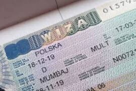 The Polish National Visa Program for IT Professionals Starts 2025